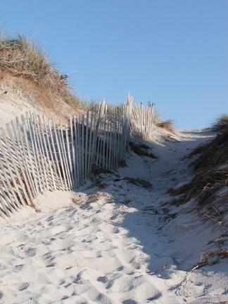 Fence on Hyannis Beach (user submitted)