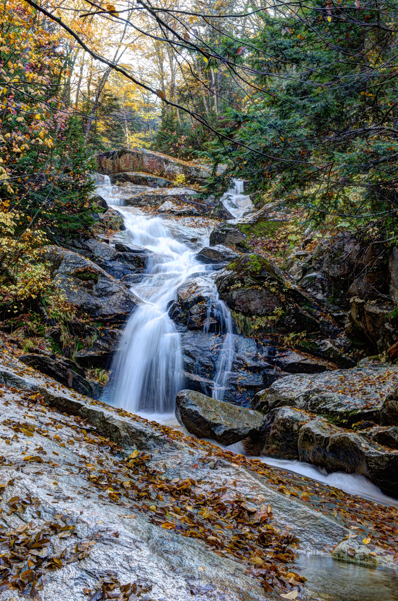 Cloudland Falls (user submitted)
