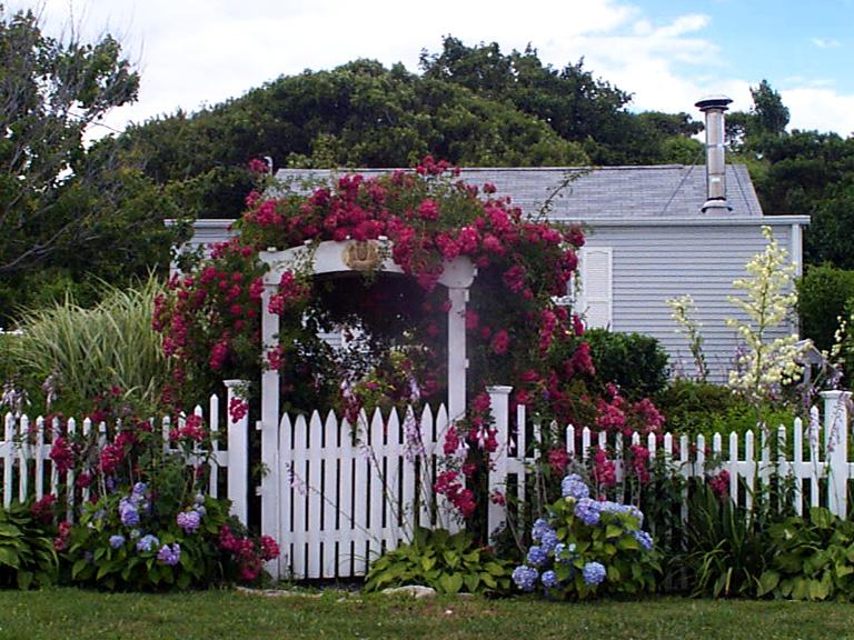 Garden Gate with Roses (user submitted)