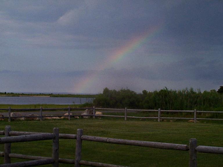 Rainbow on West Island (user submitted)