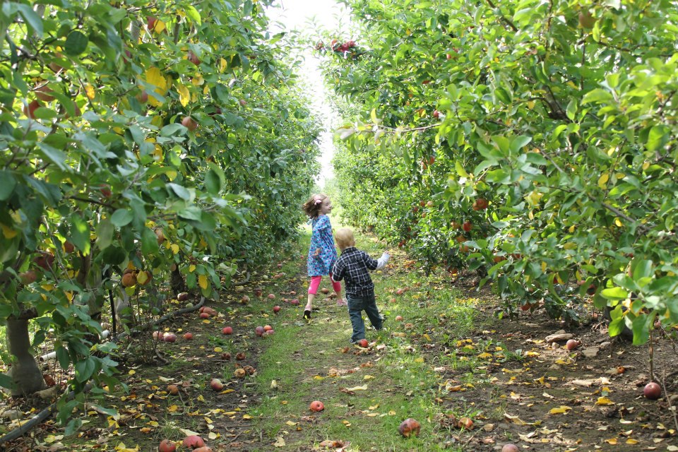 Grandkids Frolicking In The Apple Orchard. (user submitted)