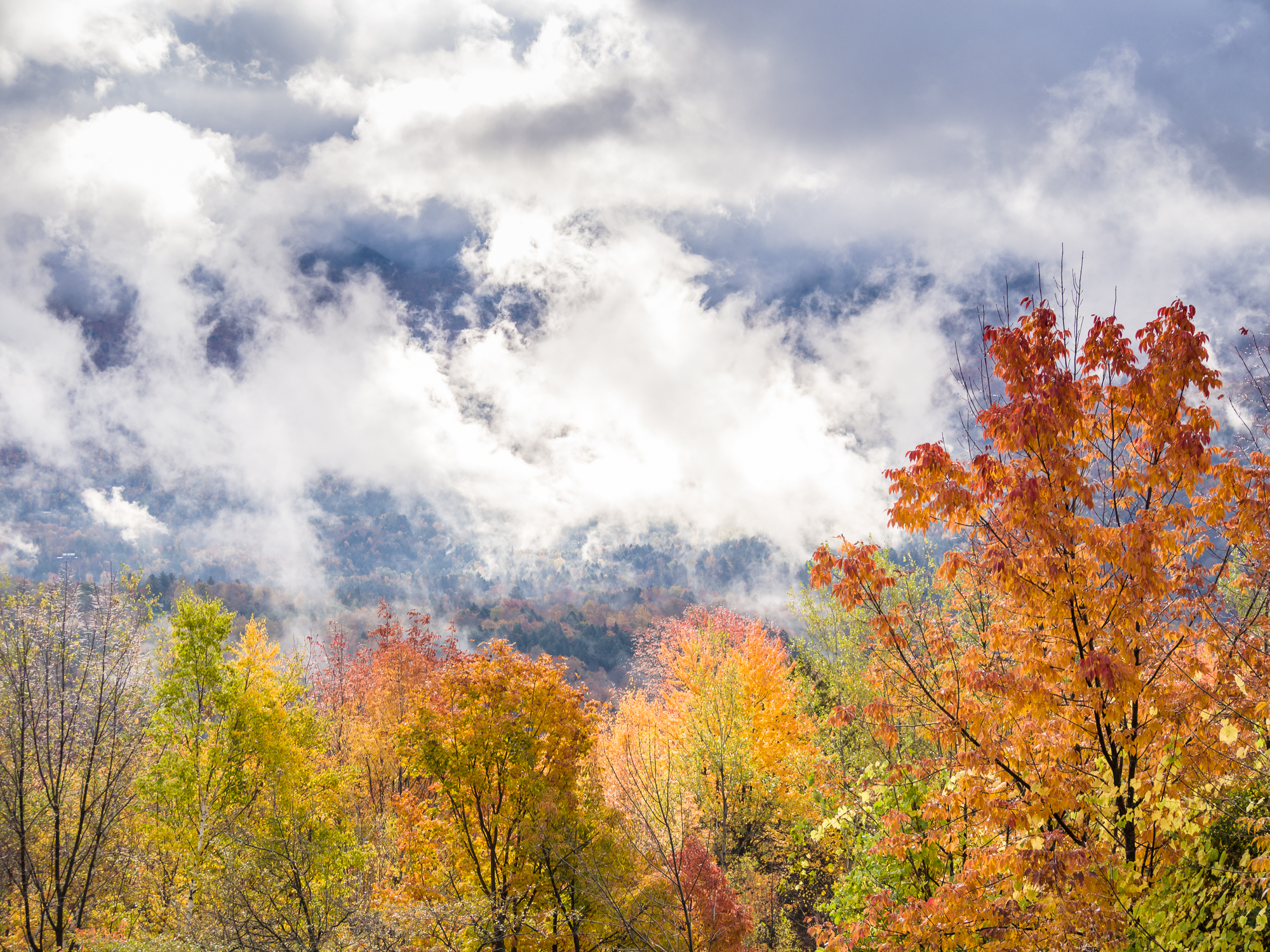 Mountain Autumn (user submitted)