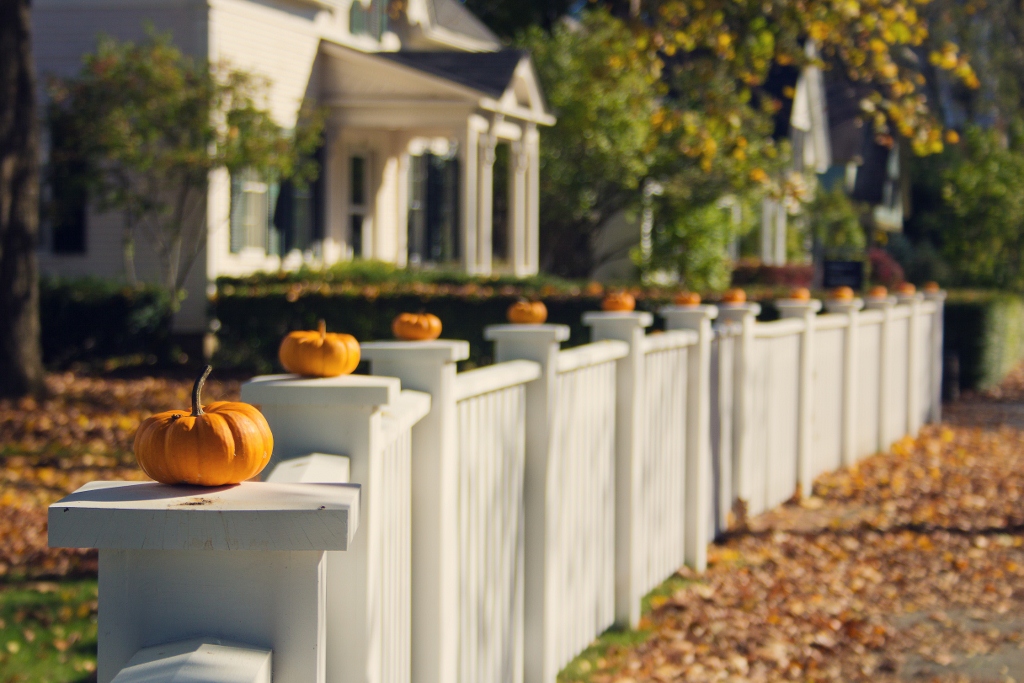 October Fence (user submitted)