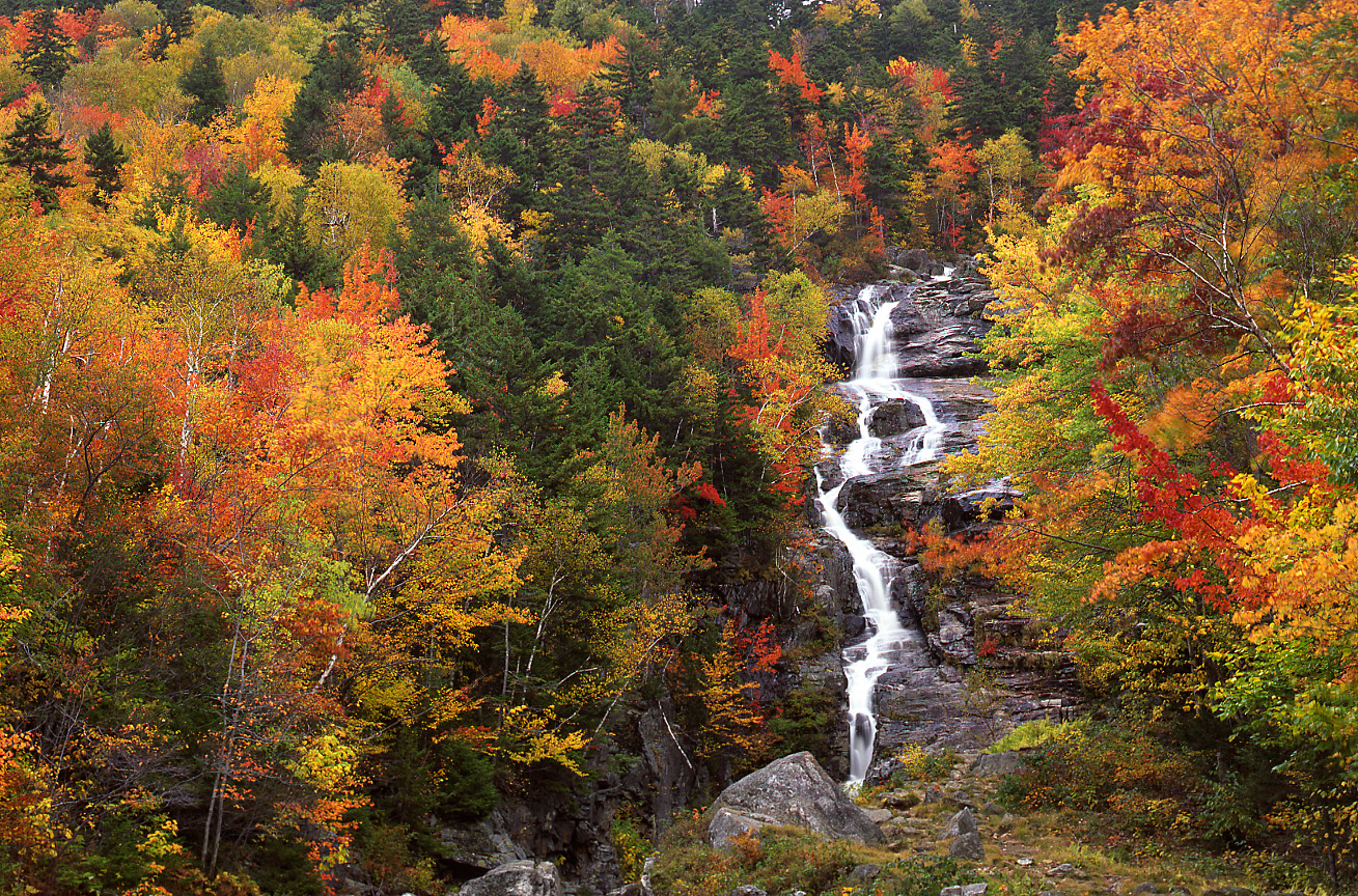 Waterfall In The White Mountains - New England