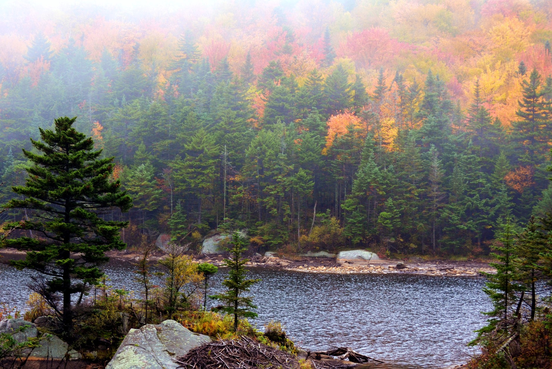 Misty Burnoff On Beaver Pond (user submitted)