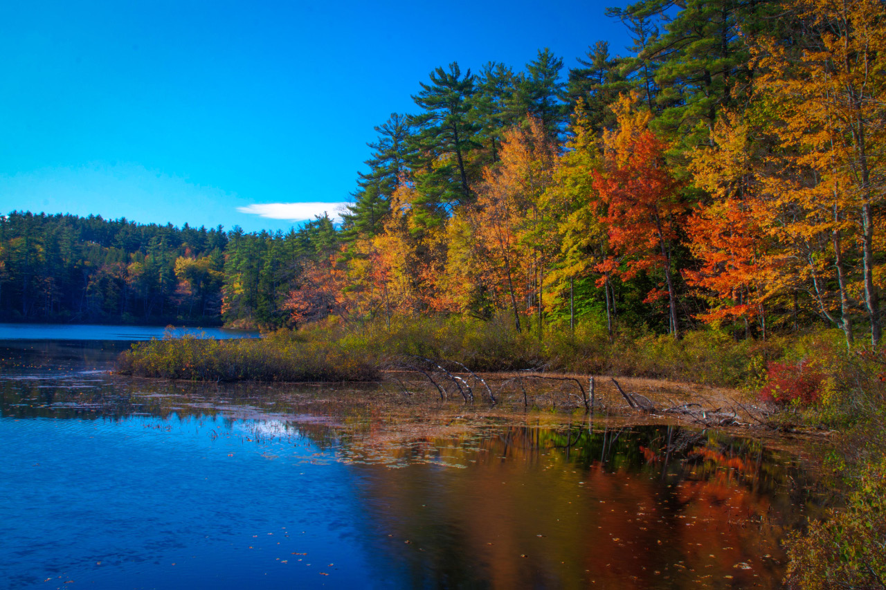 Autum Beauty - New England