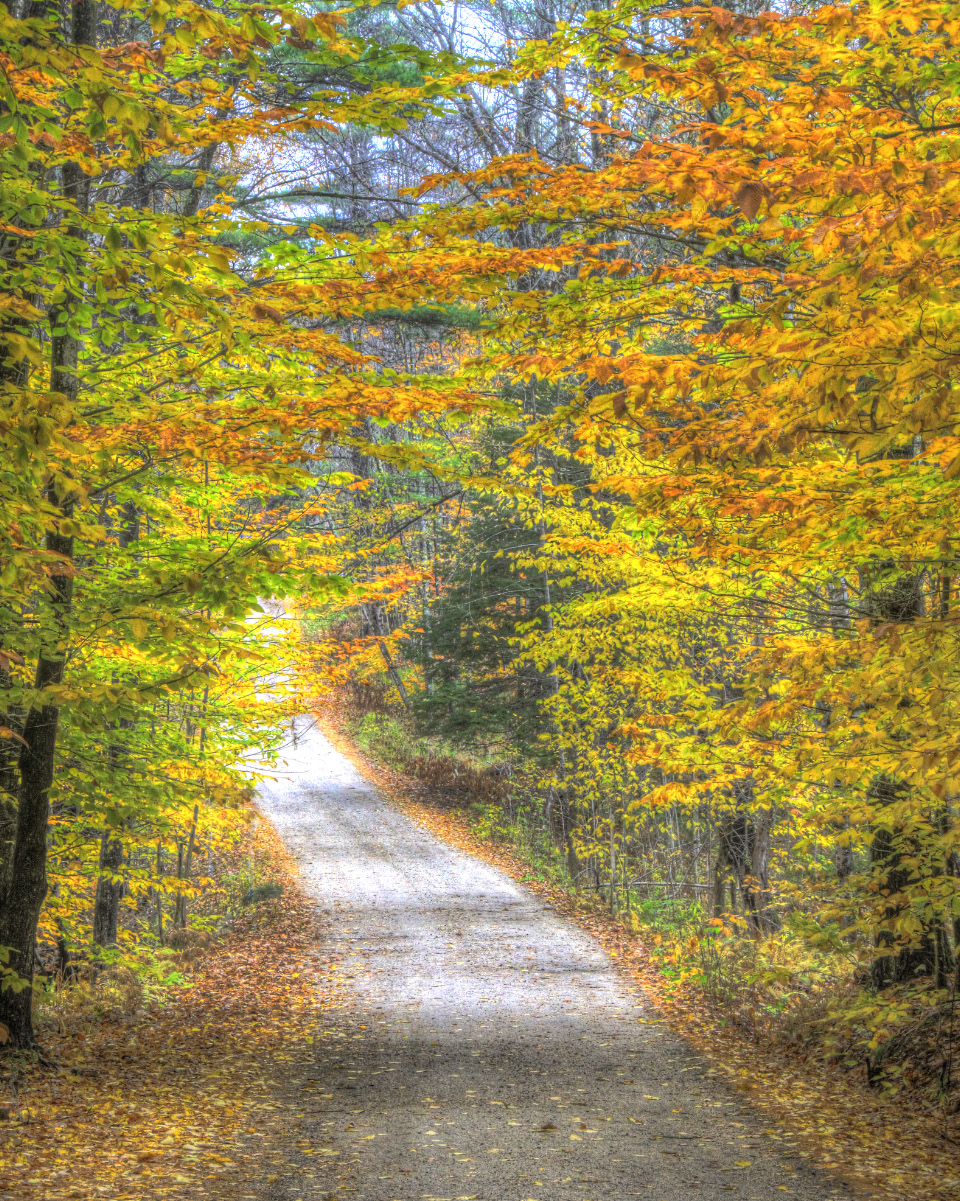 Camp Road In Fall (user submitted)