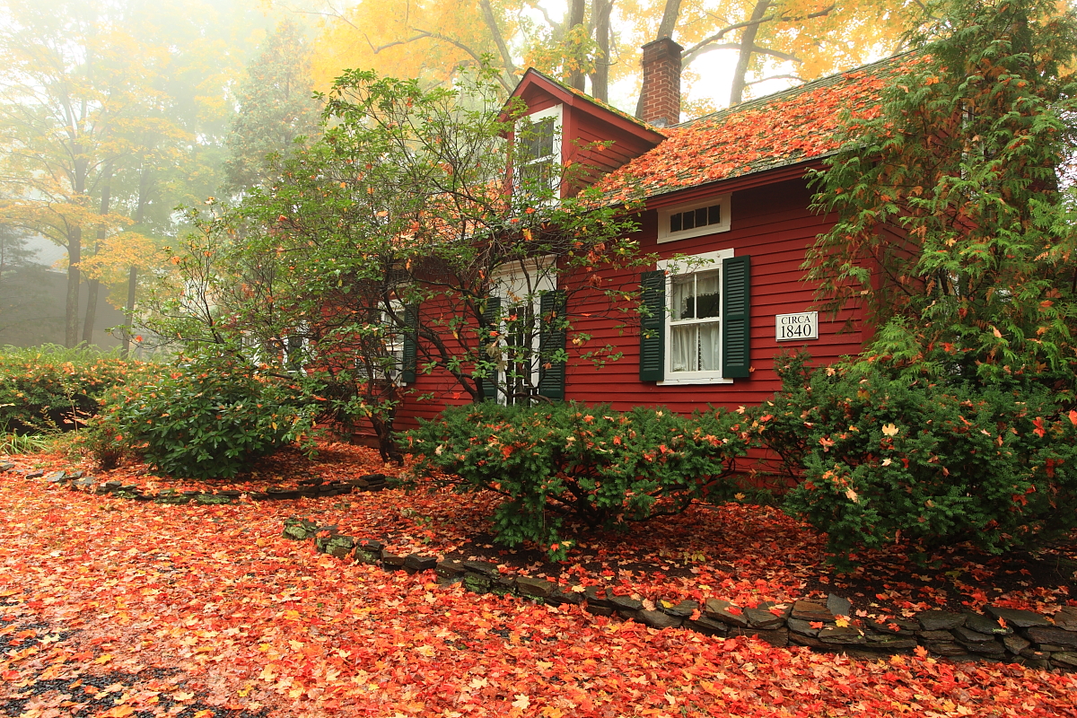 Old House With Foliage (user submitted)