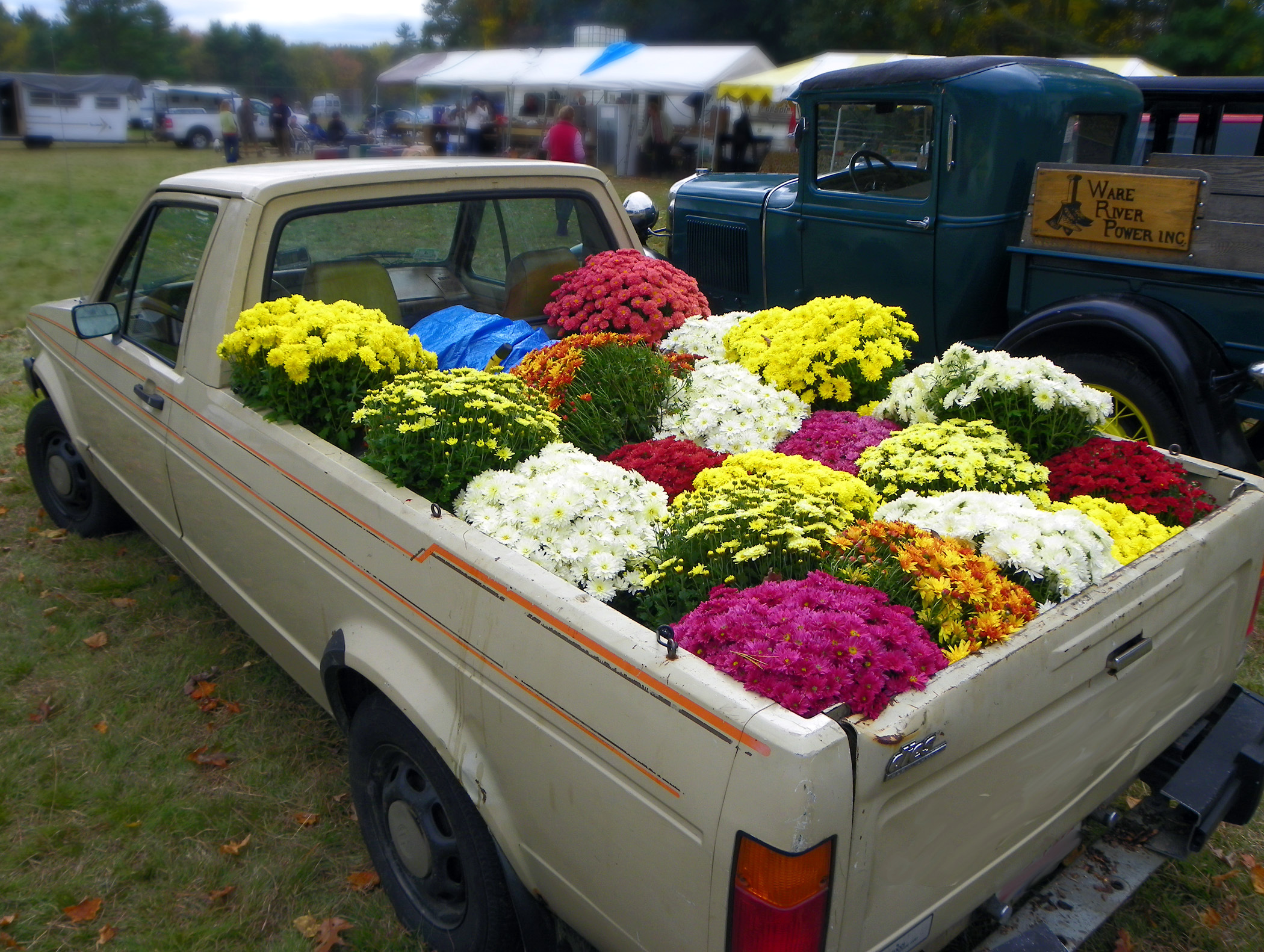 Truckful Of Mums! (user submitted)