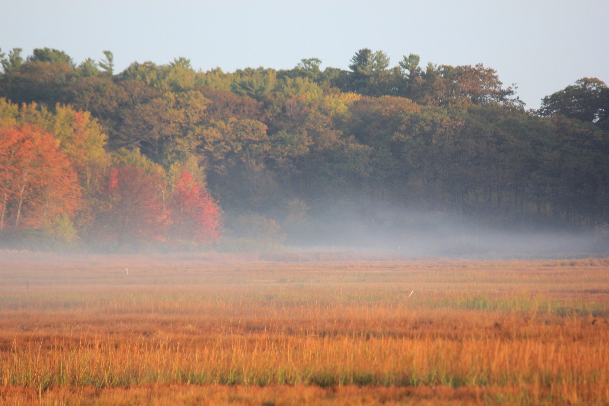 Early Fall Morning At Salt Marsh (user submitted)