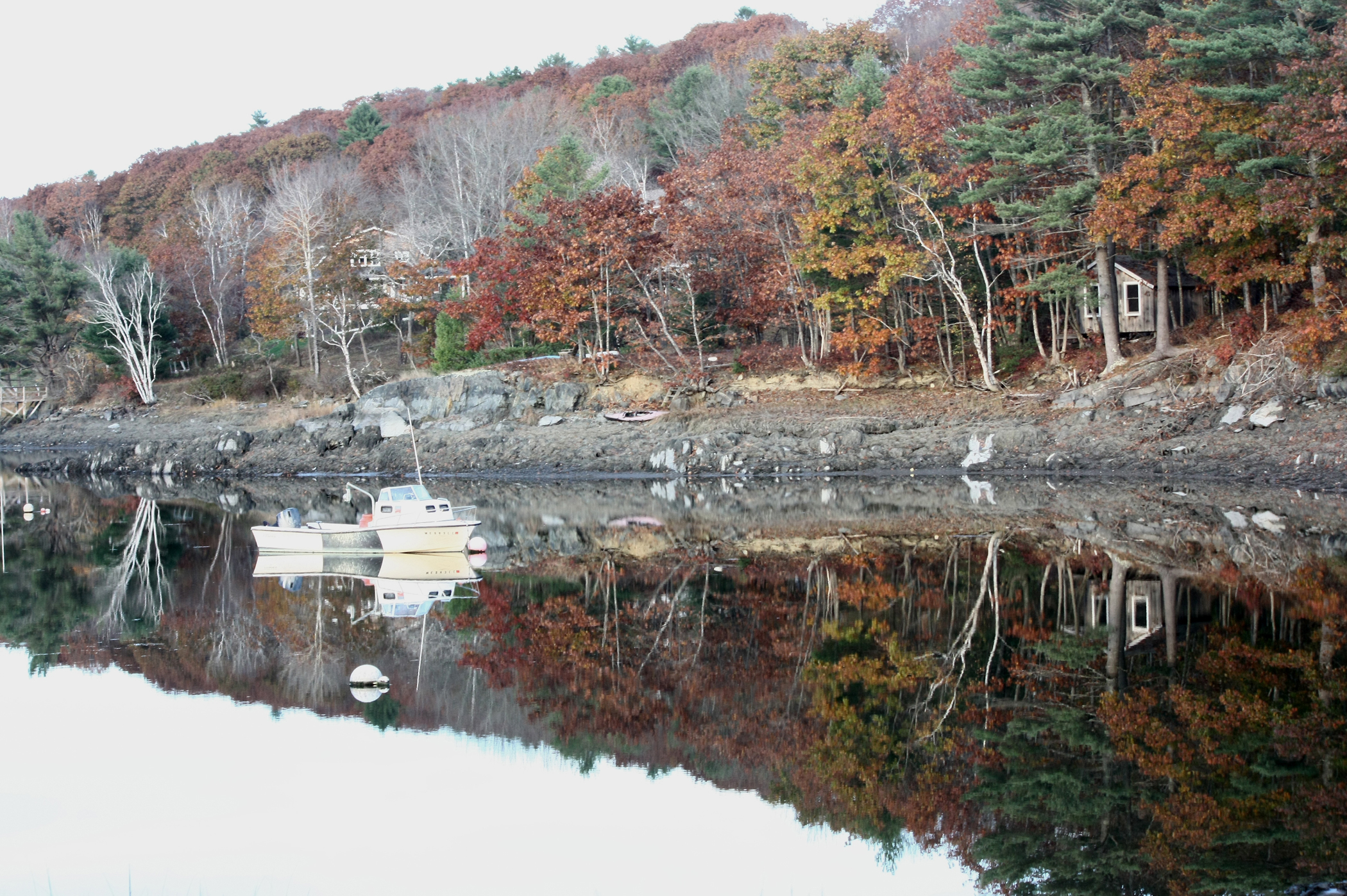 Fall Shed Reflections On Robinhood Cove (user submitted)