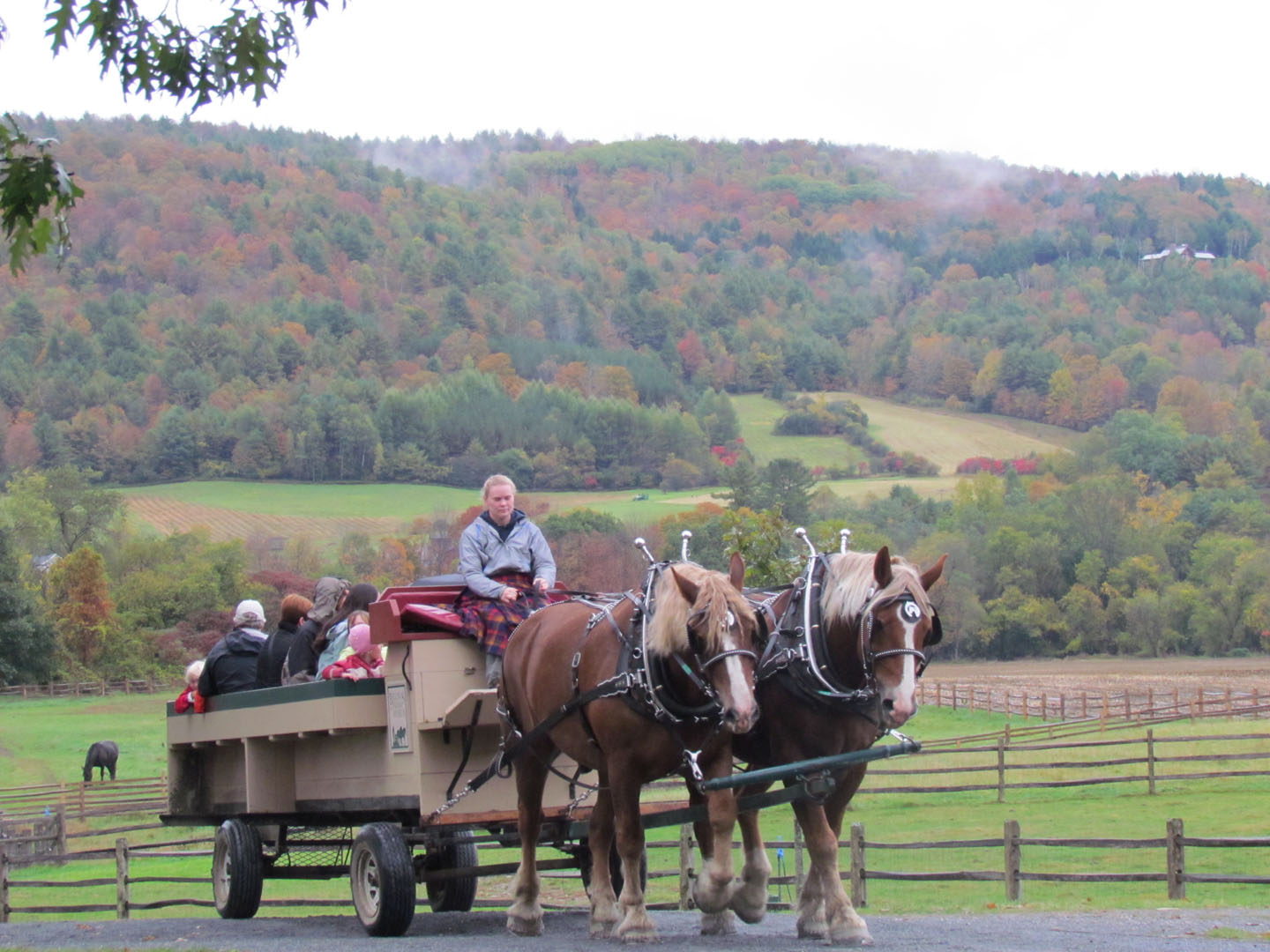 Autumn Wagon Ride At Billings Farm &amp; Museum (user submitted)