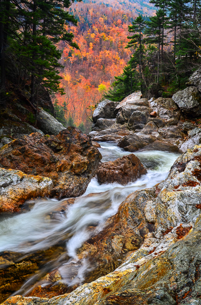 Ellis River,autumn View (user submitted)