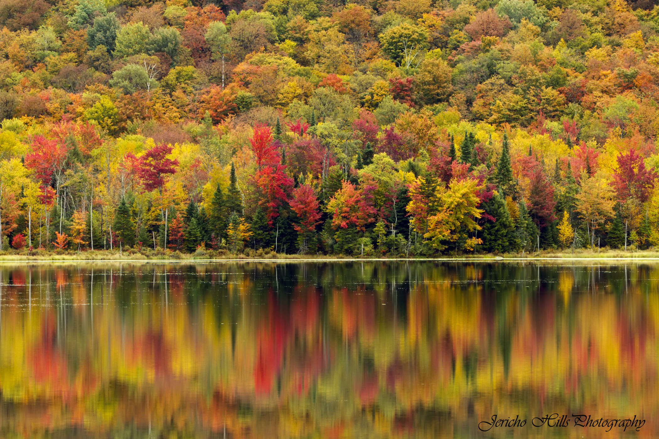 Belvidere Pond Reflections - New England