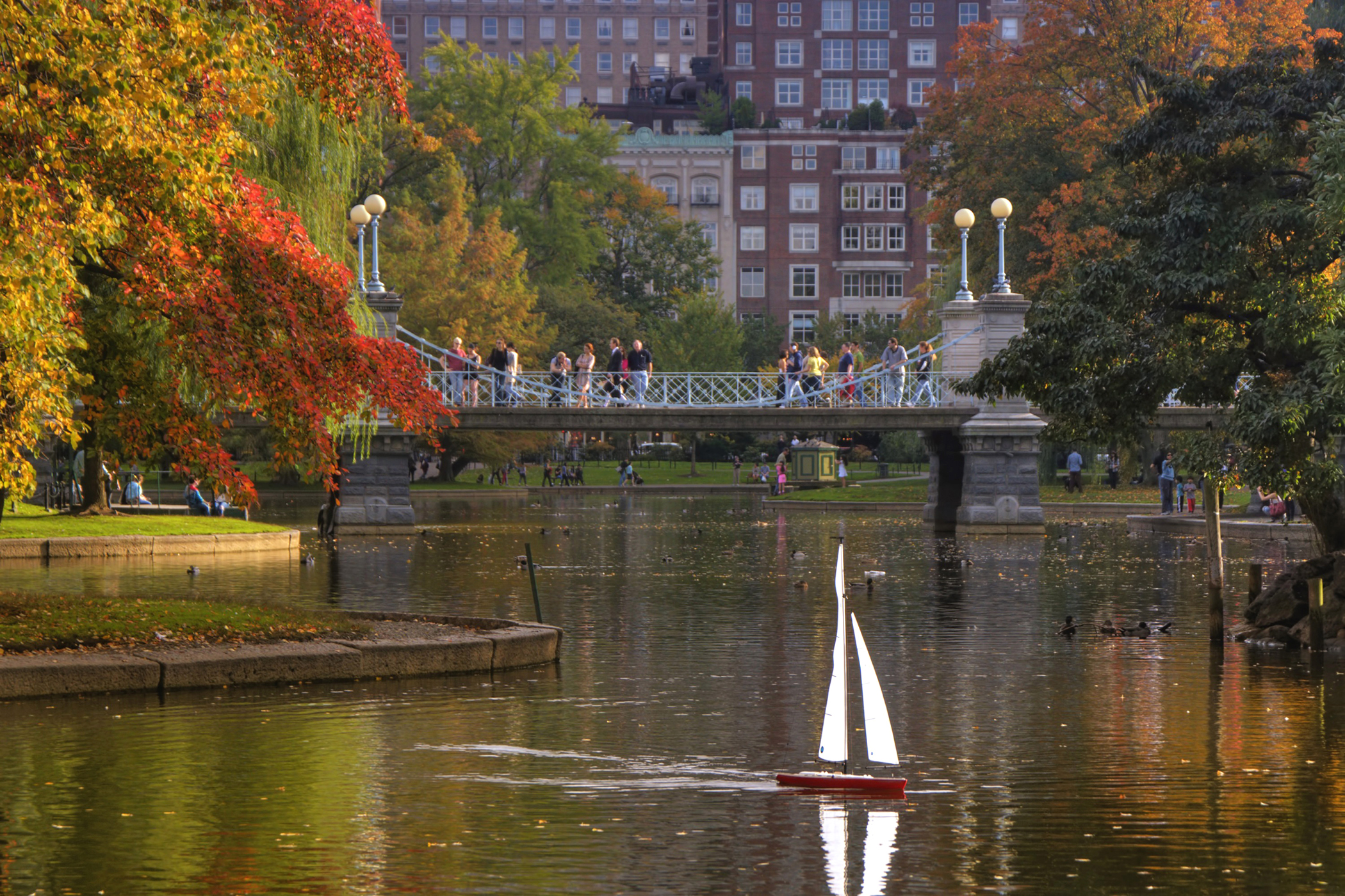 Boston&#8217;s Public Garden (user submitted)