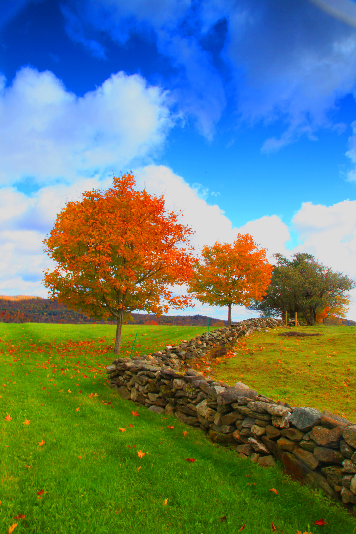 Fall Rural Landscape (user submitted)