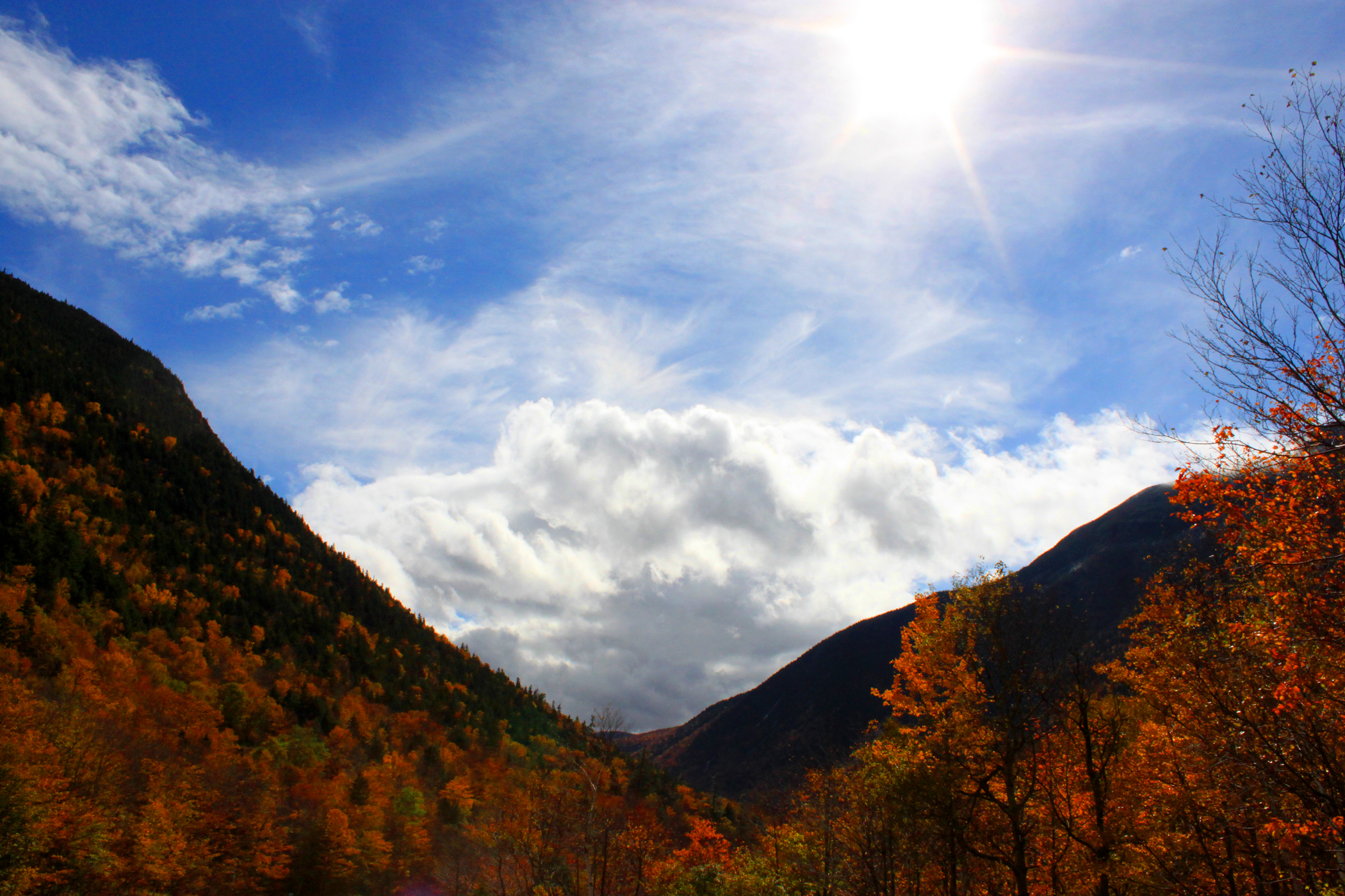 Sunny Fall Mountains  (user submitted)