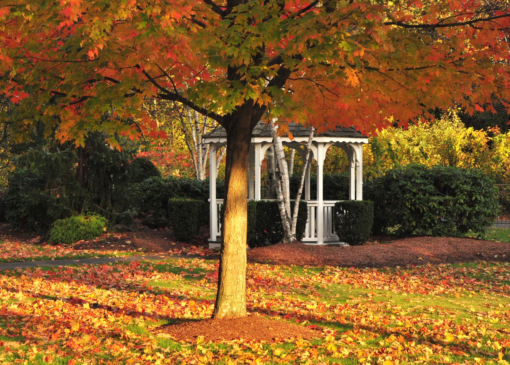 Fall At The Gazebo (user submitted)