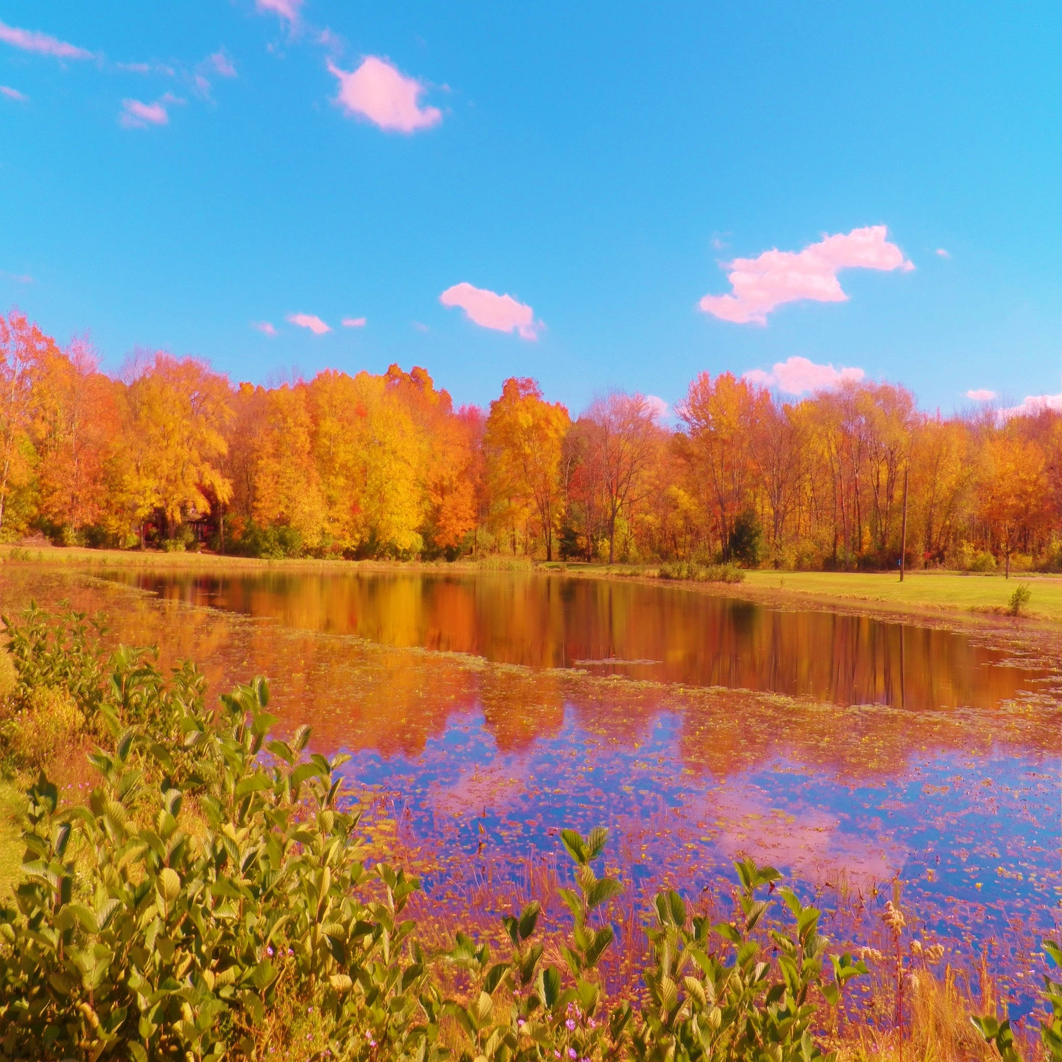 Fall Foliage At Dexter&#8217;s Pond (user submitted)