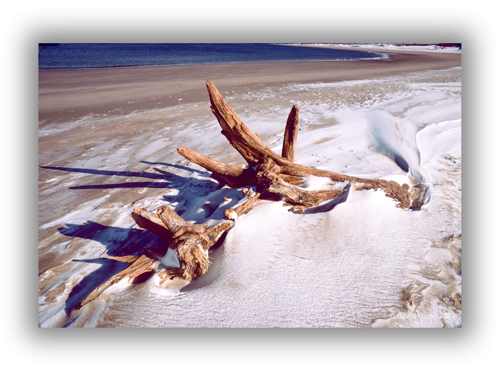Driftwood And Snow At Crane Beach (user submitted)