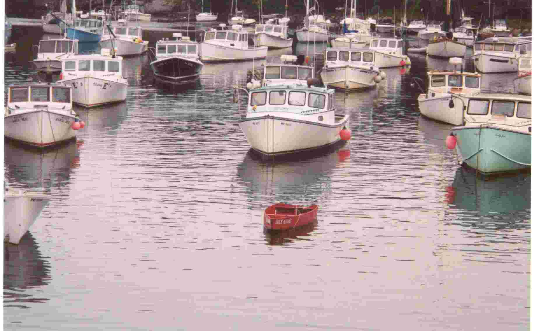 Boats in Harbor (user submitted)