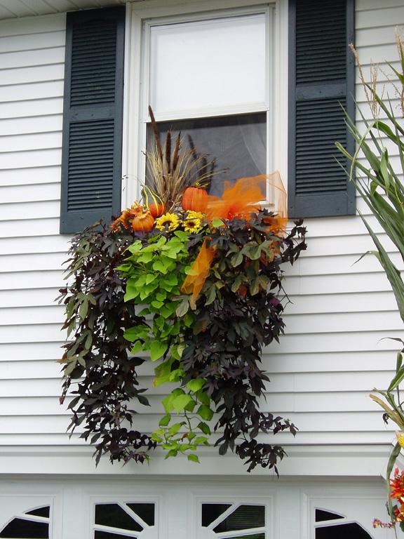 Fall Windowbox (user submitted)
