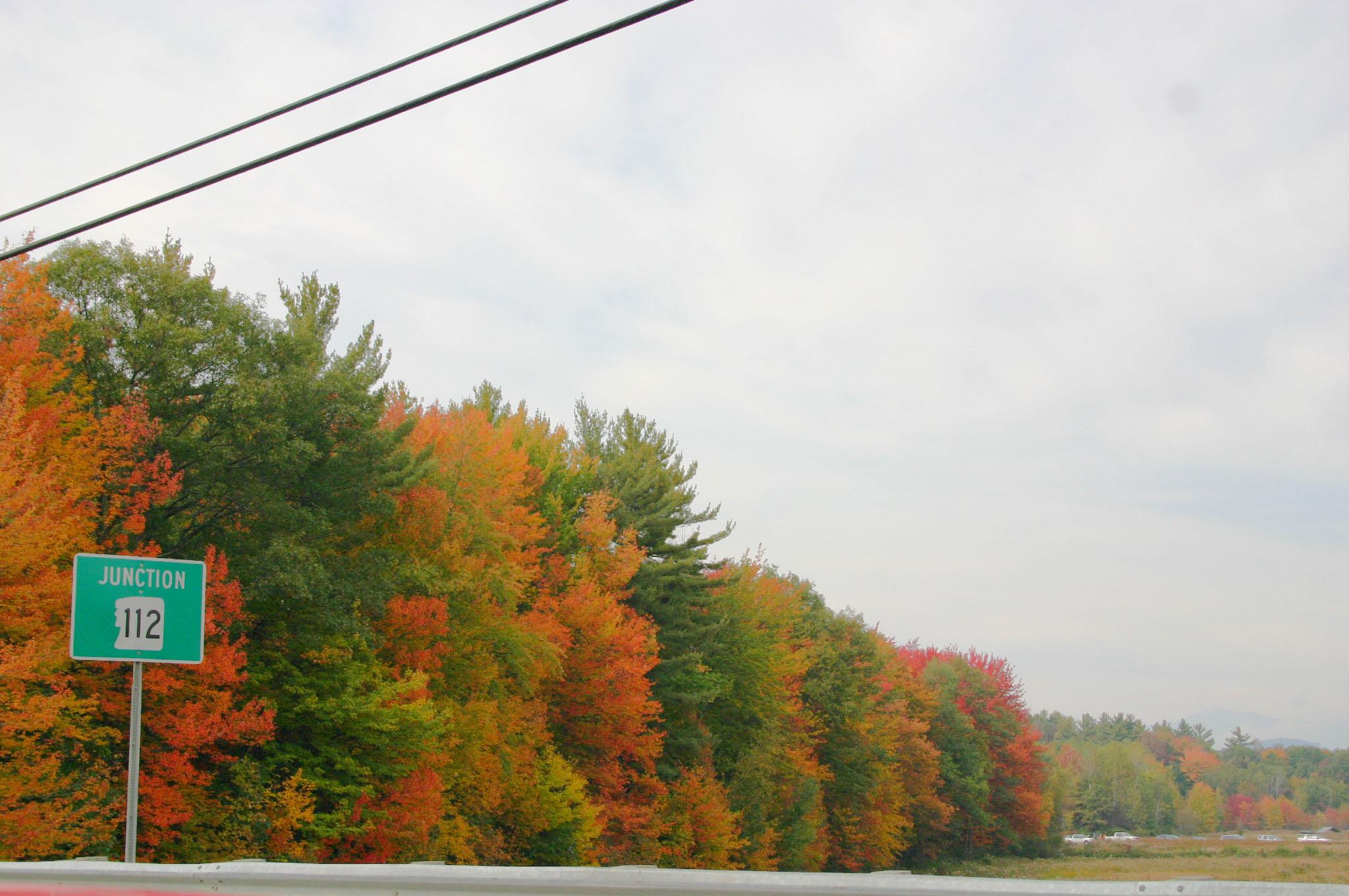 Fall Foliage (user submitted)