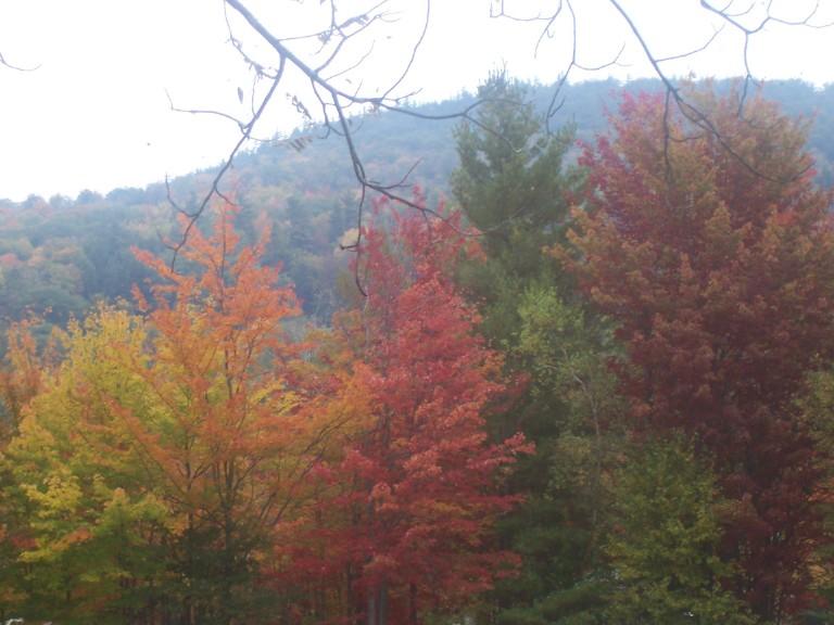 Autumn Rainbow (user submitted)