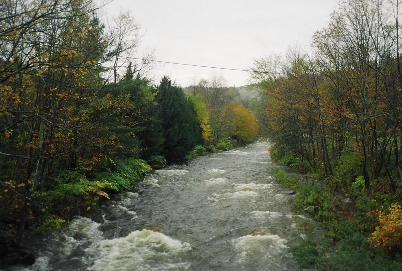 River in Autumn (user submitted)