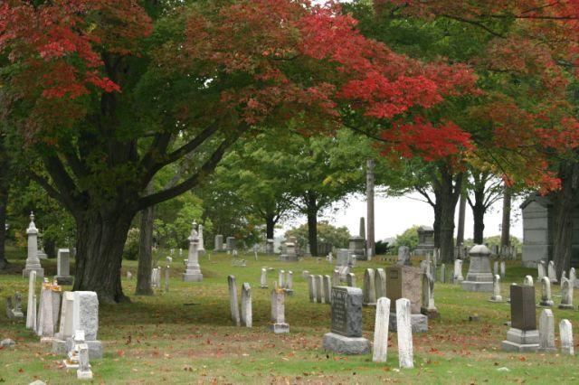Dover Cemetery (user submitted)