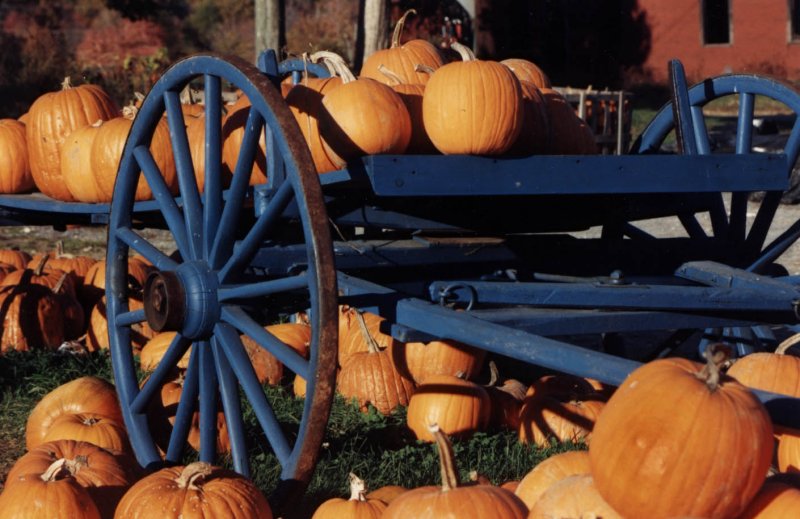 Pumpkin Cart (user submitted)