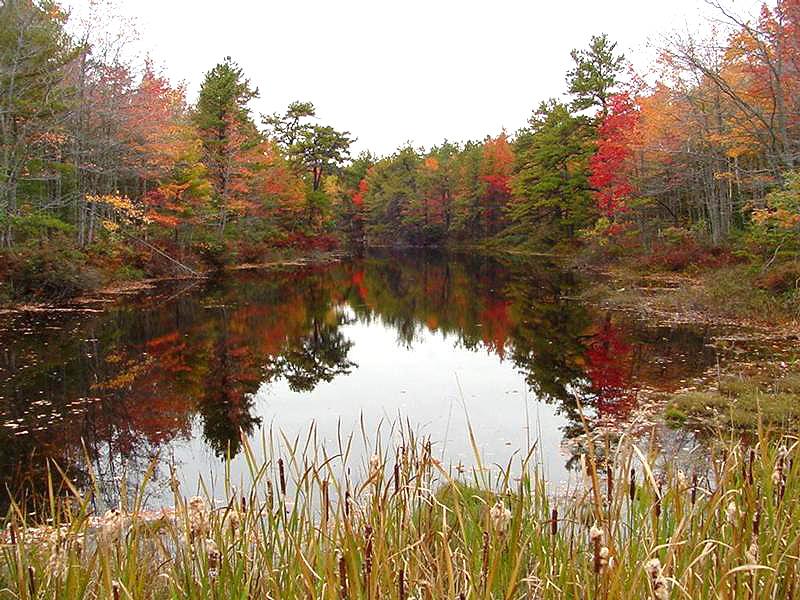 Fall Foliage Reflections (user submitted)