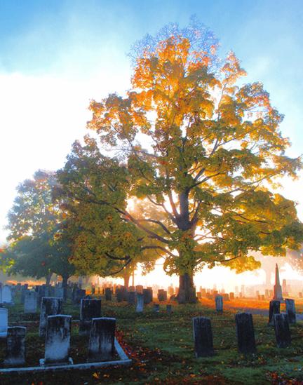 Morning at North Cemetery  Sturbridge (user submitted)