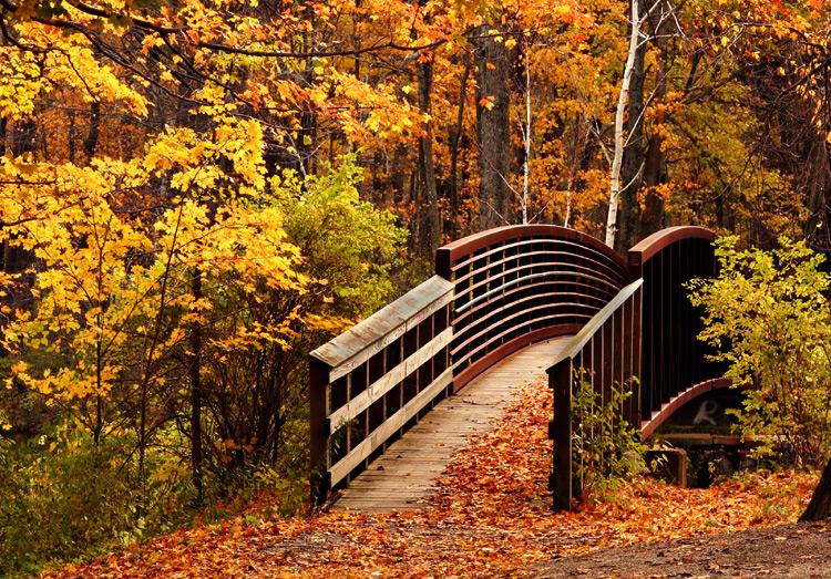 Autumn Bridge In Lenox, Ma (user submitted)