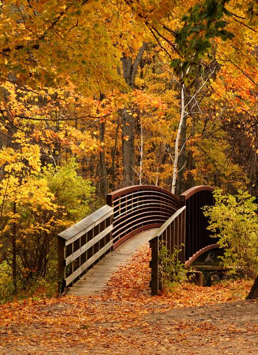 Autumn Bridge in Berkshires (user submitted)