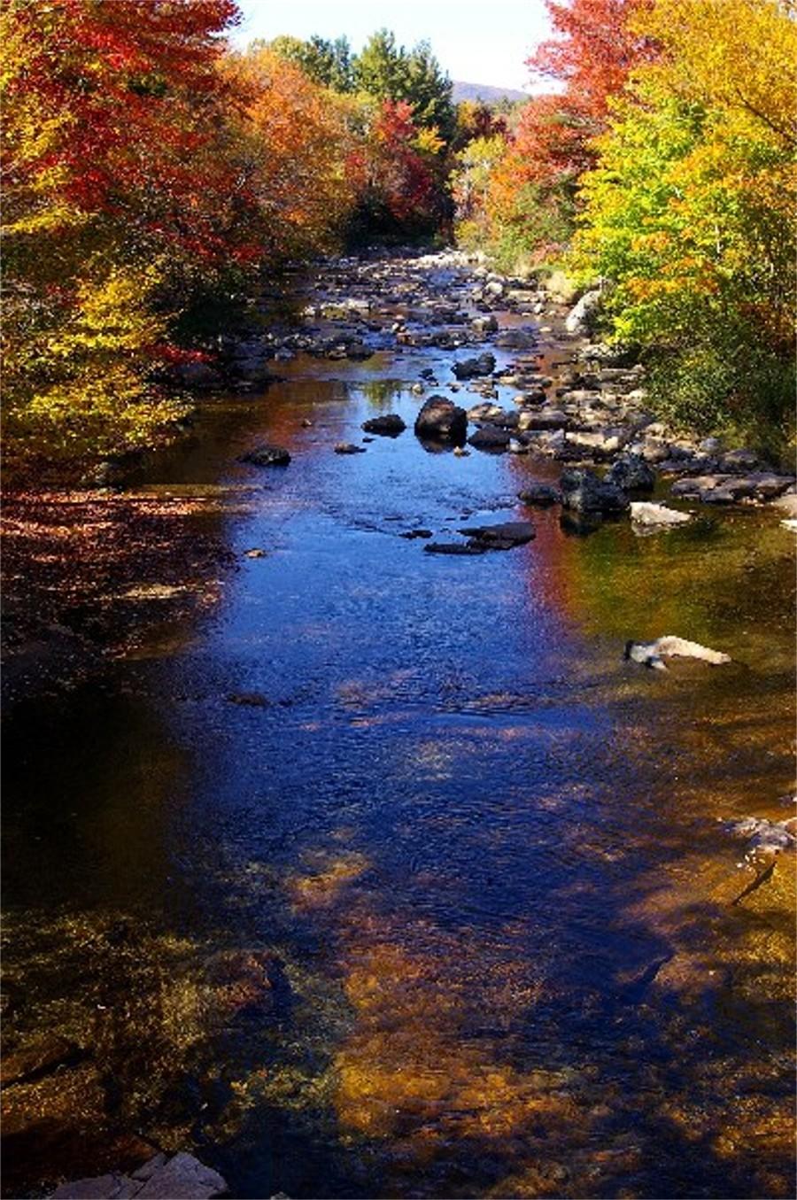 Wild Ammonoosus River in the Fall (user submitted)