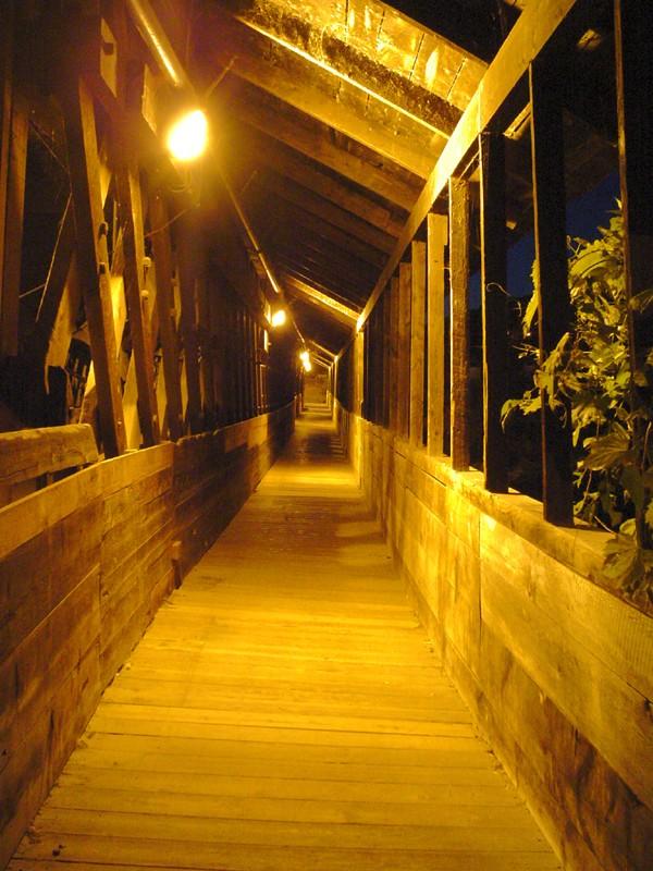 Lighted Walkway (user submitted)