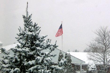 Snow-Covered Treetop and Flag (user submitted)