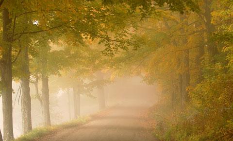 Foggy Path In Pomfret, Vt (user submitted)