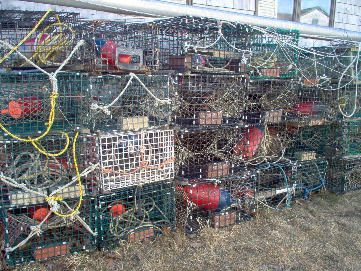Lobster Traps (user submitted)