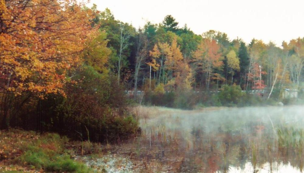Maine Pond in Fall (user submitted)
