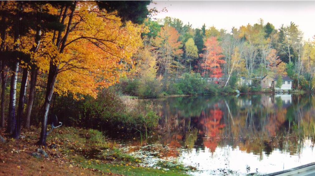 Maine Pond (user submitted)