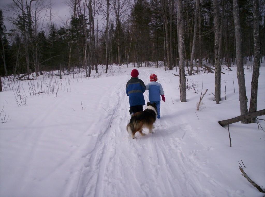 Children on Winter trail (user submitted)
