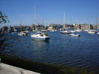 Eel Pond, Woods Hole, MA (user submitted)