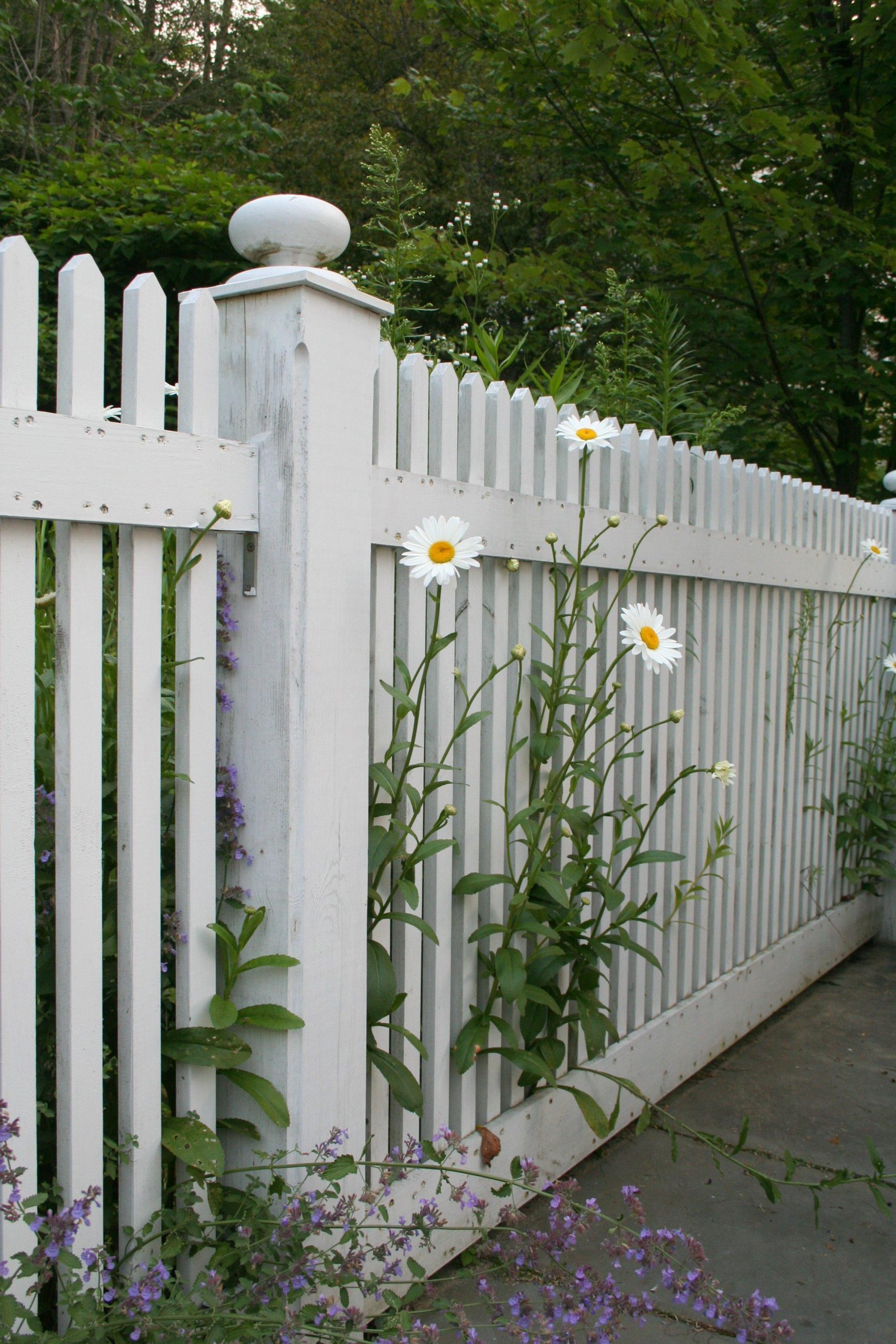 Garden Fence (user submitted)