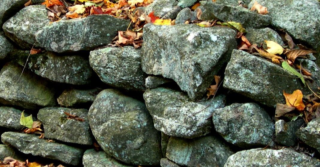 New England Stone Wall (user submitted)