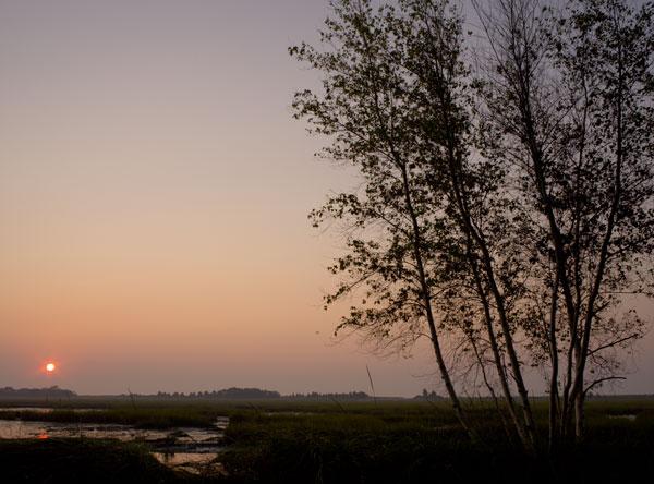 Salt Marsh Sunrise (user submitted)