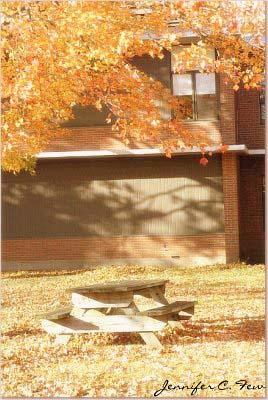 Autumn Bench (user submitted)
