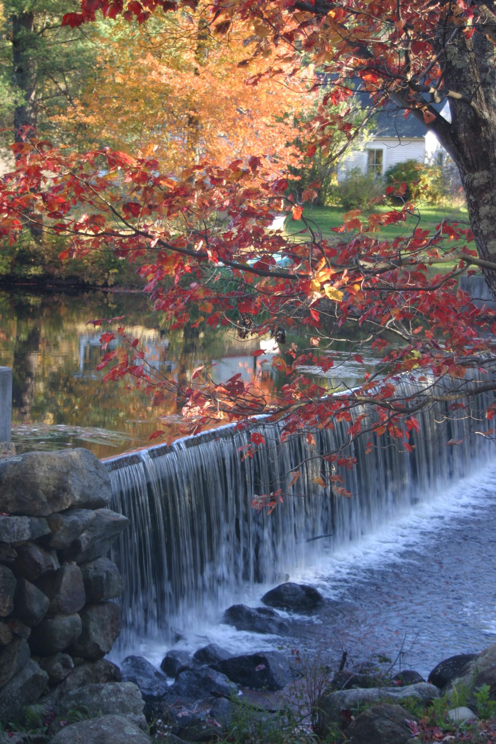 Waterfall in Autumn (user submitted)