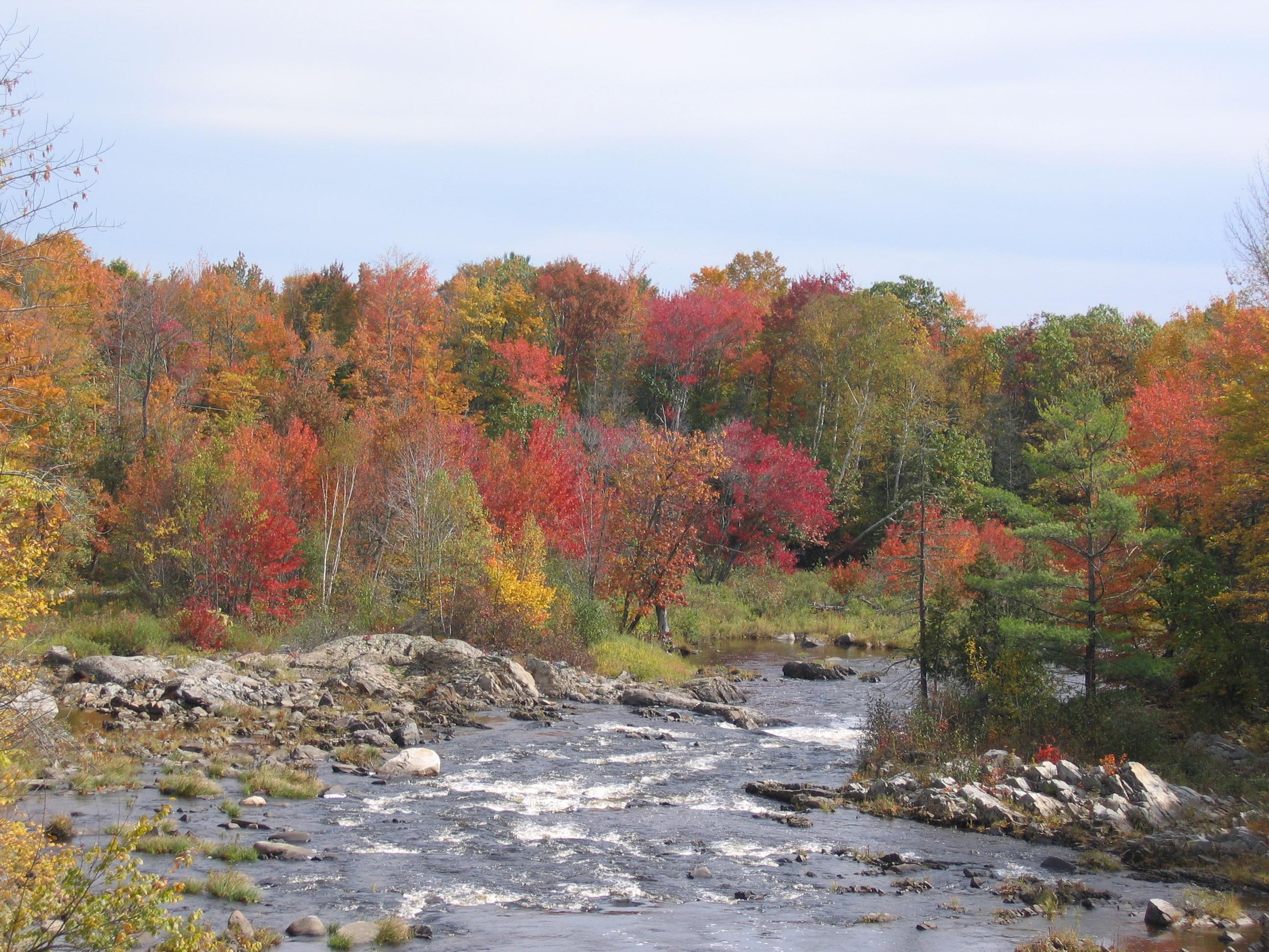 A Fall River Scene - New England Today